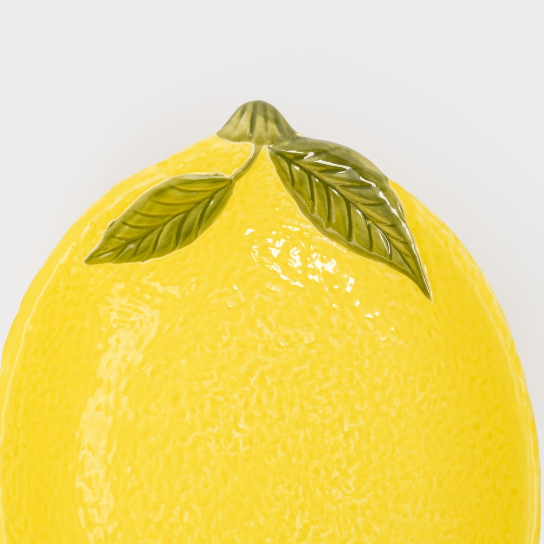 Салатник Anna Lafarg Lemon | Фото 3