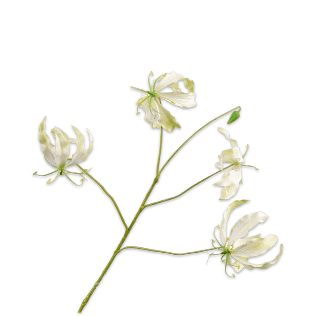Ветка Глориоза Silk-Ka