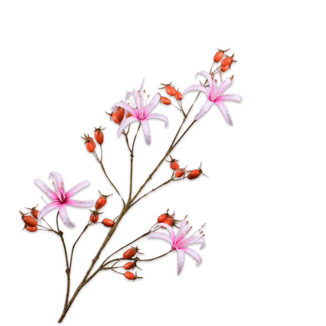 Ветка Шиповник Silk-Ka | Фото 1